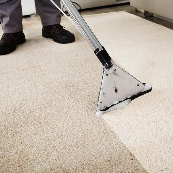 https://earthseedconsulting.com/images/sampledata/carpet-cleaning.png